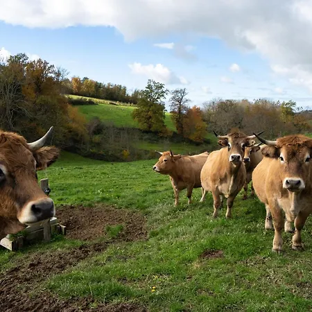 De La Ferme Des Bourettes Haute-Rivoire
